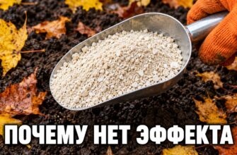 Костная мука в садовом совке на фоне осенней почвы